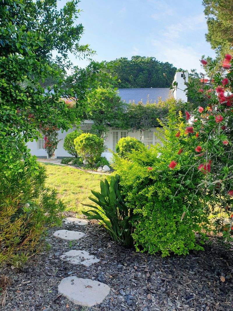 Simple Ways to Support Pollinators in Your Yard