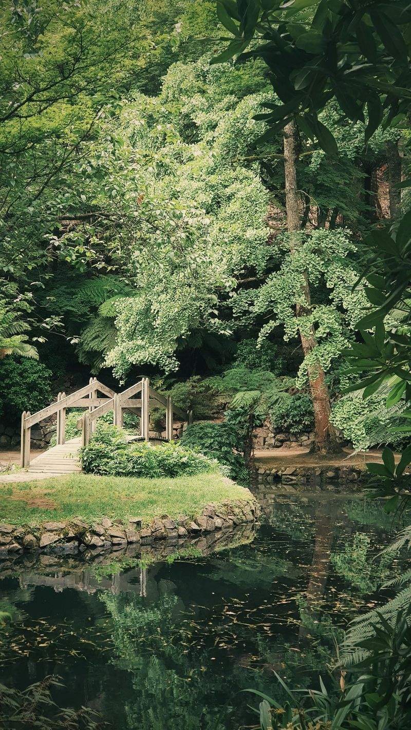 Maple Leaf Garden Studio