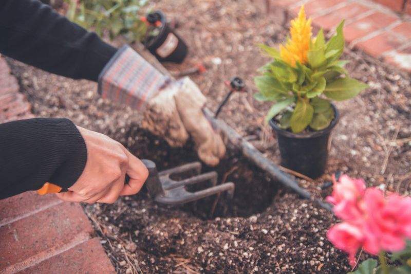Garden design and planting plans
