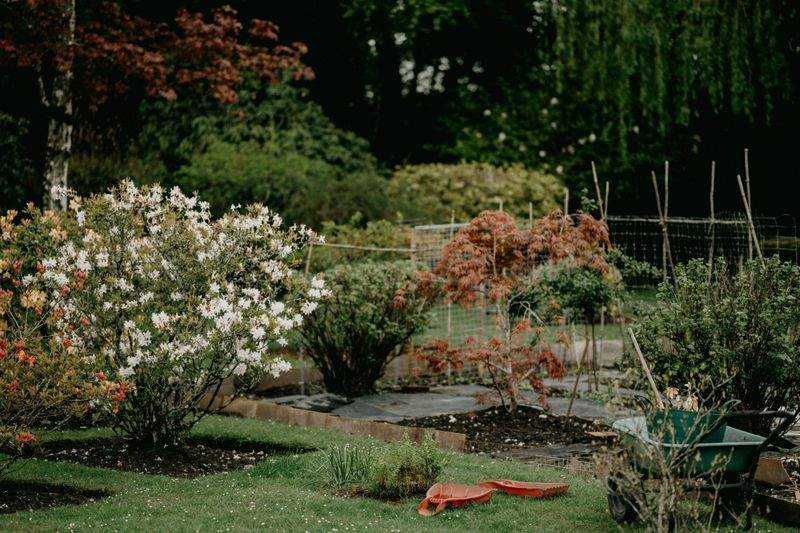 Mulching and soil improvement